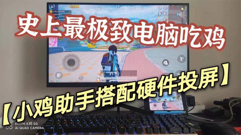 和平精英飞鸟一体直装（人物绘制/驱动自瞄/独家美化/掩体变色）